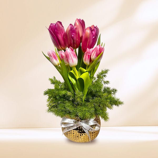 Cadeaufleur